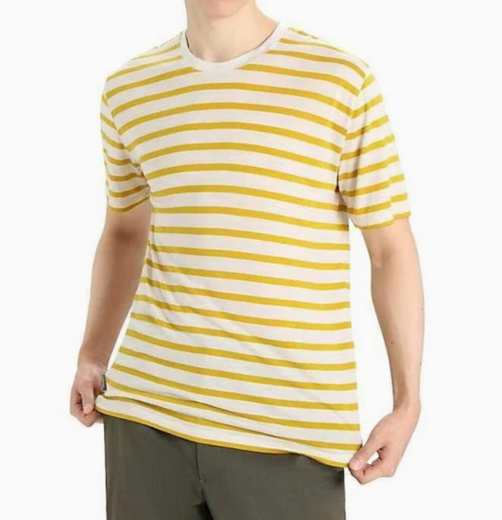 NWT Icebreaker Merino Wool Drayden Stripe Tee (Men L)